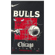 Nike Ανδρική κοντομάνικη μπλούζα Chicago Bulls Courtside Max90 Tee